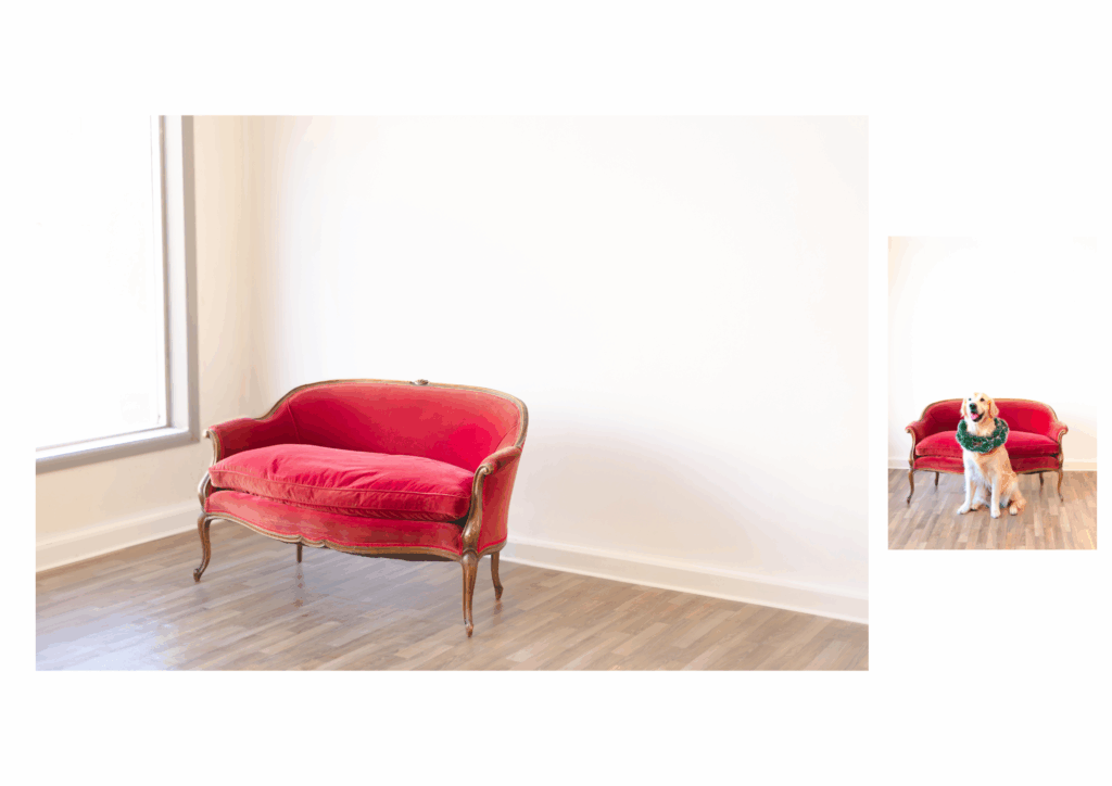 Antique red velvet couch near studio window for indoor Roseburg Christmas minis.